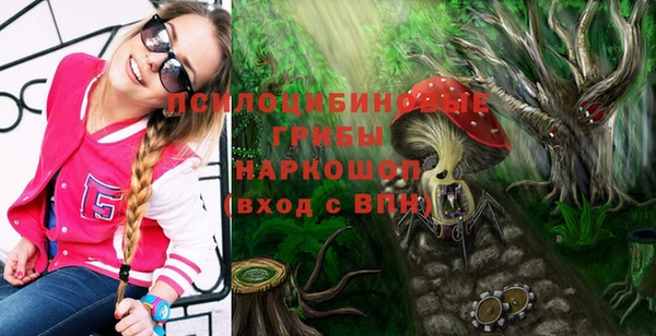 2c-b Осинники