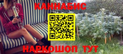 стаф Котовск