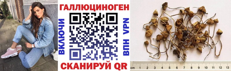 наркотики  MEGA как зайти  Псилоцибиновые грибы Cubensis  Переславль-Залесский 